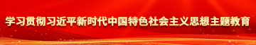 快来日我逼视屏学习贯彻习近平新时代中国特色社会主义思想主题教育