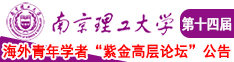 美女任你叉南京理工大学第十四届海外青年学者紫金论坛诚邀海内外英才！